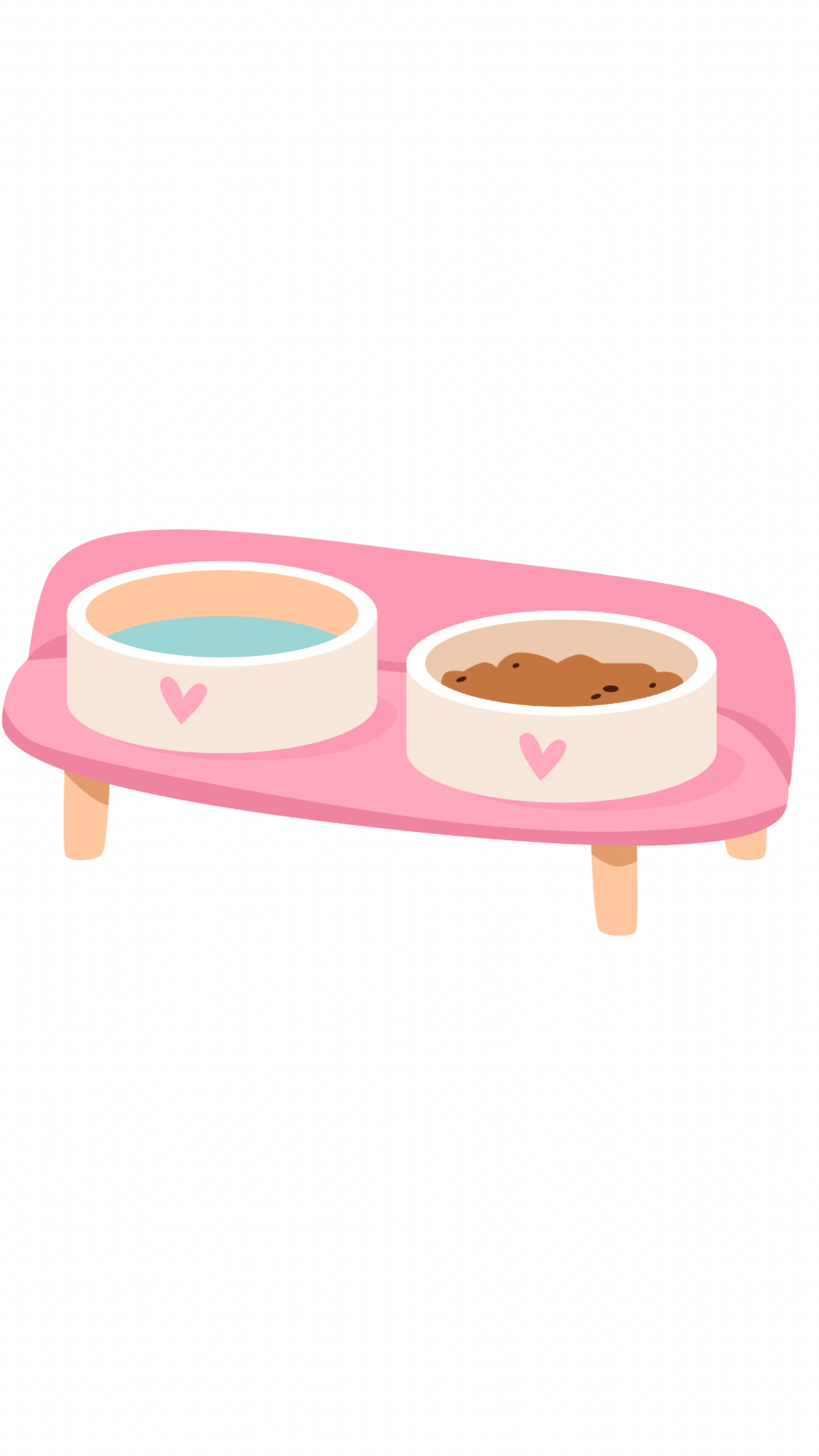 ظرف آب و غذا