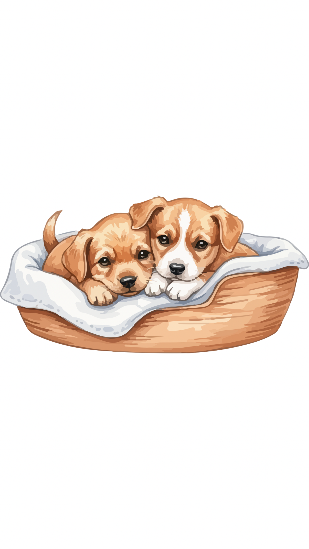 مراقبت نوزاد