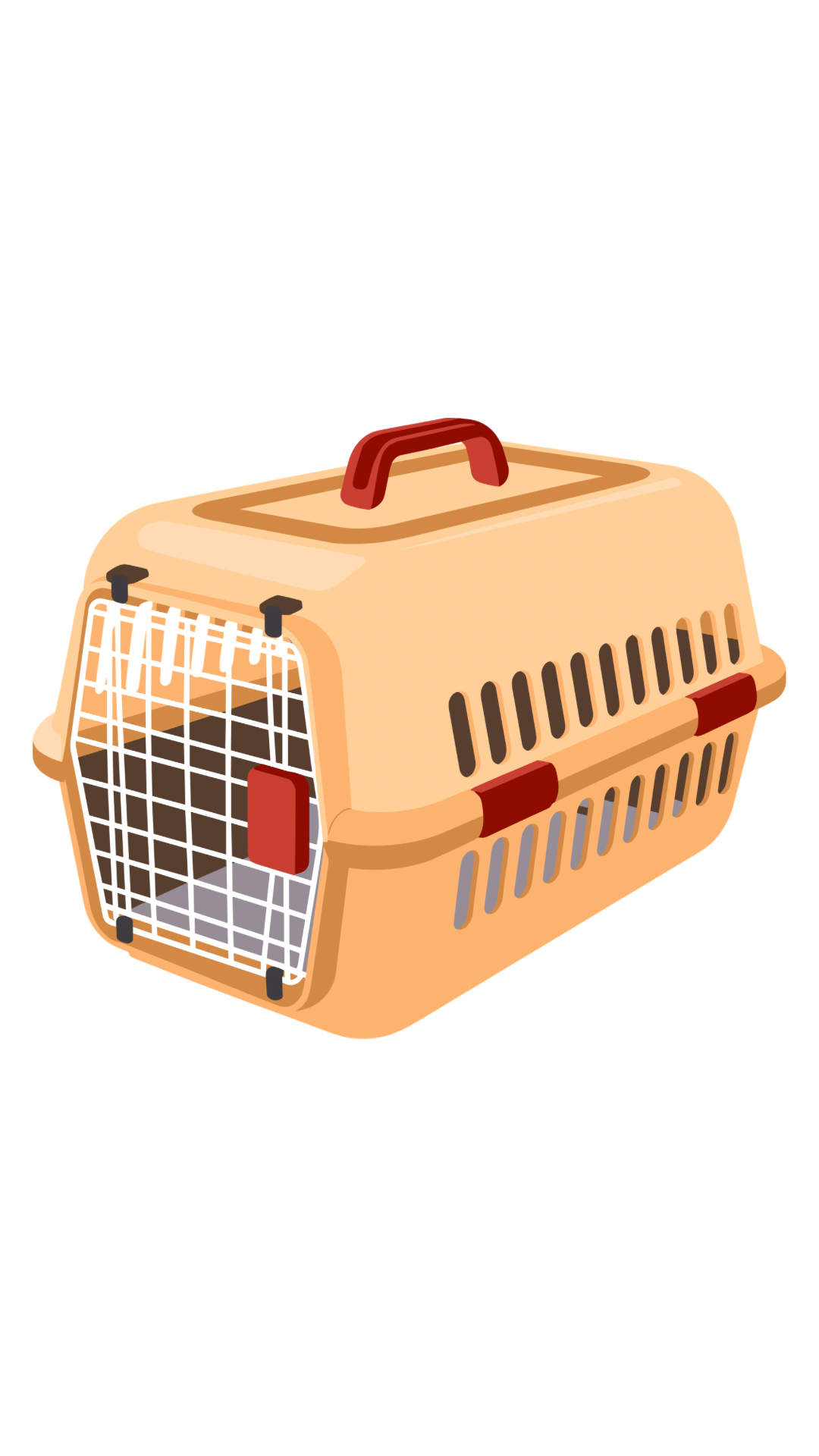 لوازم جانبی سگ