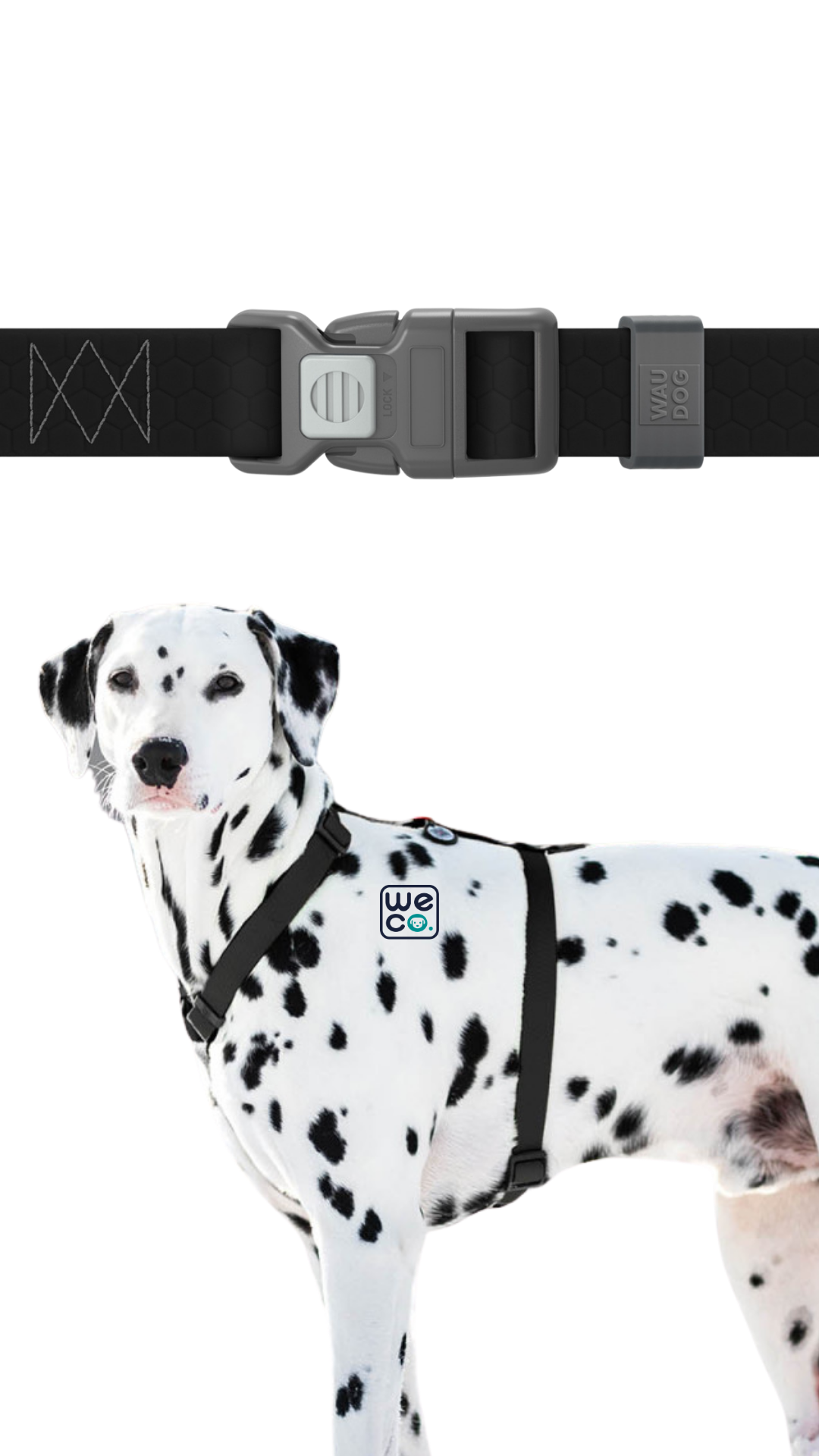 ست هارنس H و ليش Waudog مدل WaterProof