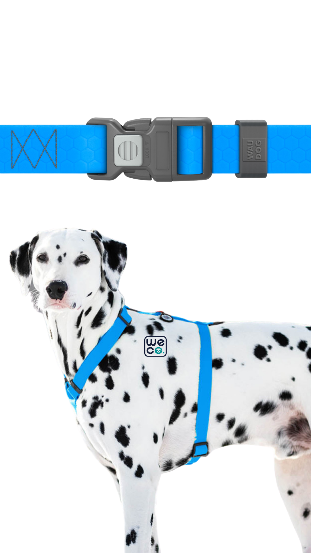 ست هارنس H و ليش Waudog مدل WaterProof