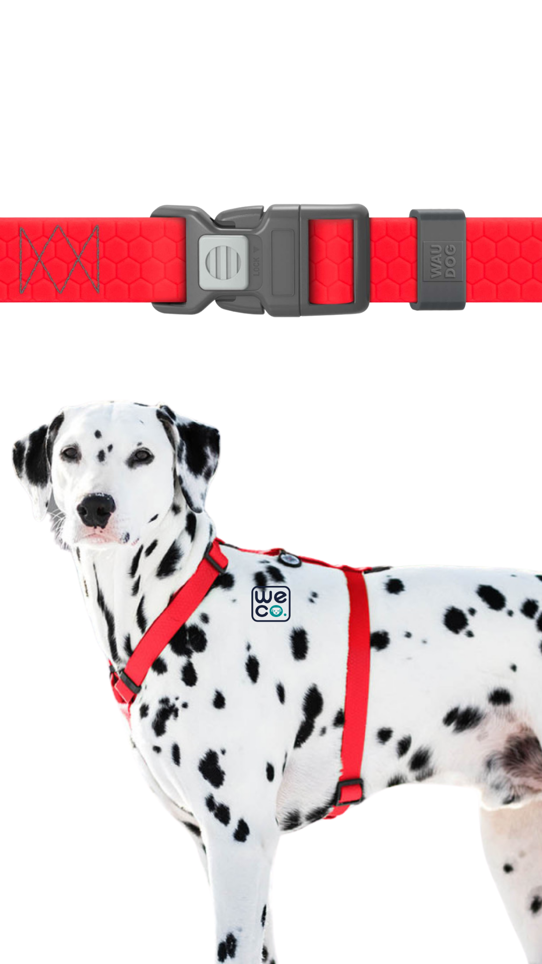 ست هارنس H و ليش Waudog مدل WaterProof