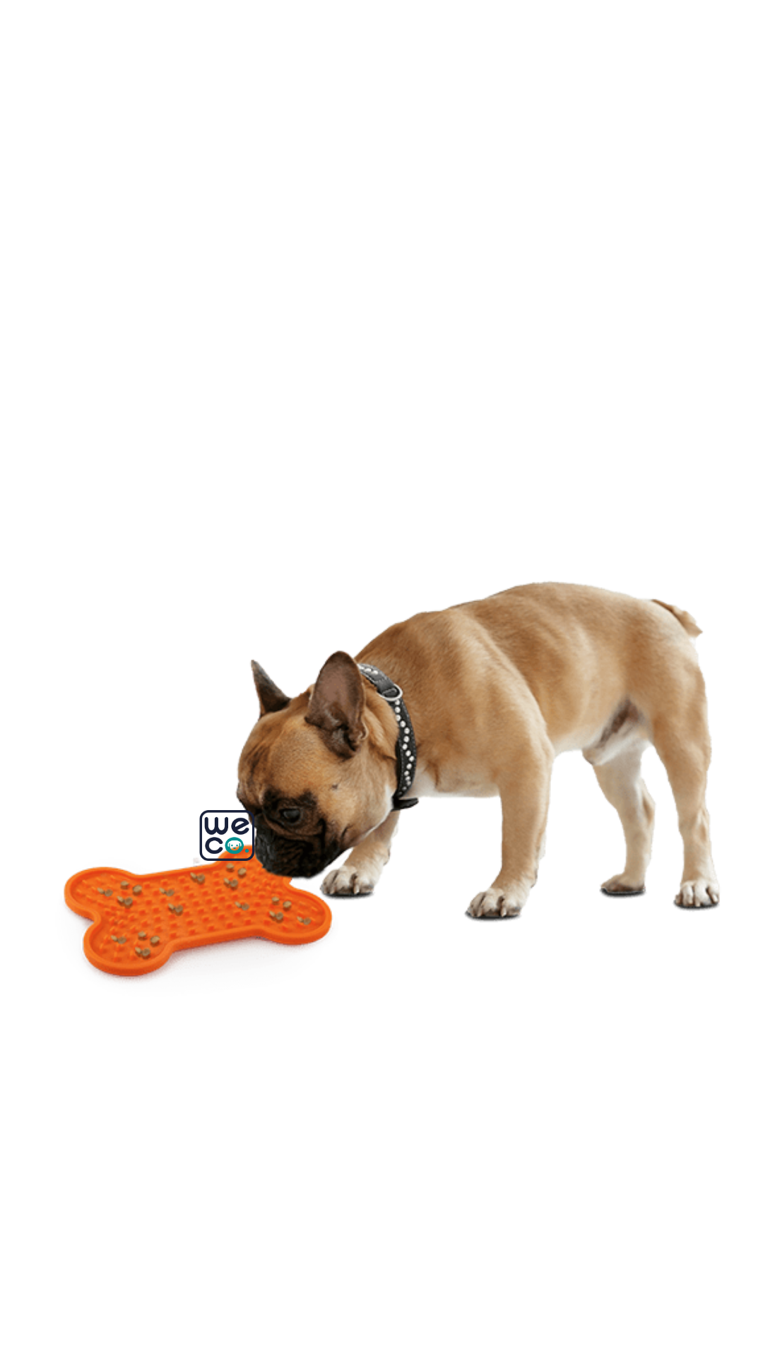 Tasty Bone Lick Mat afp