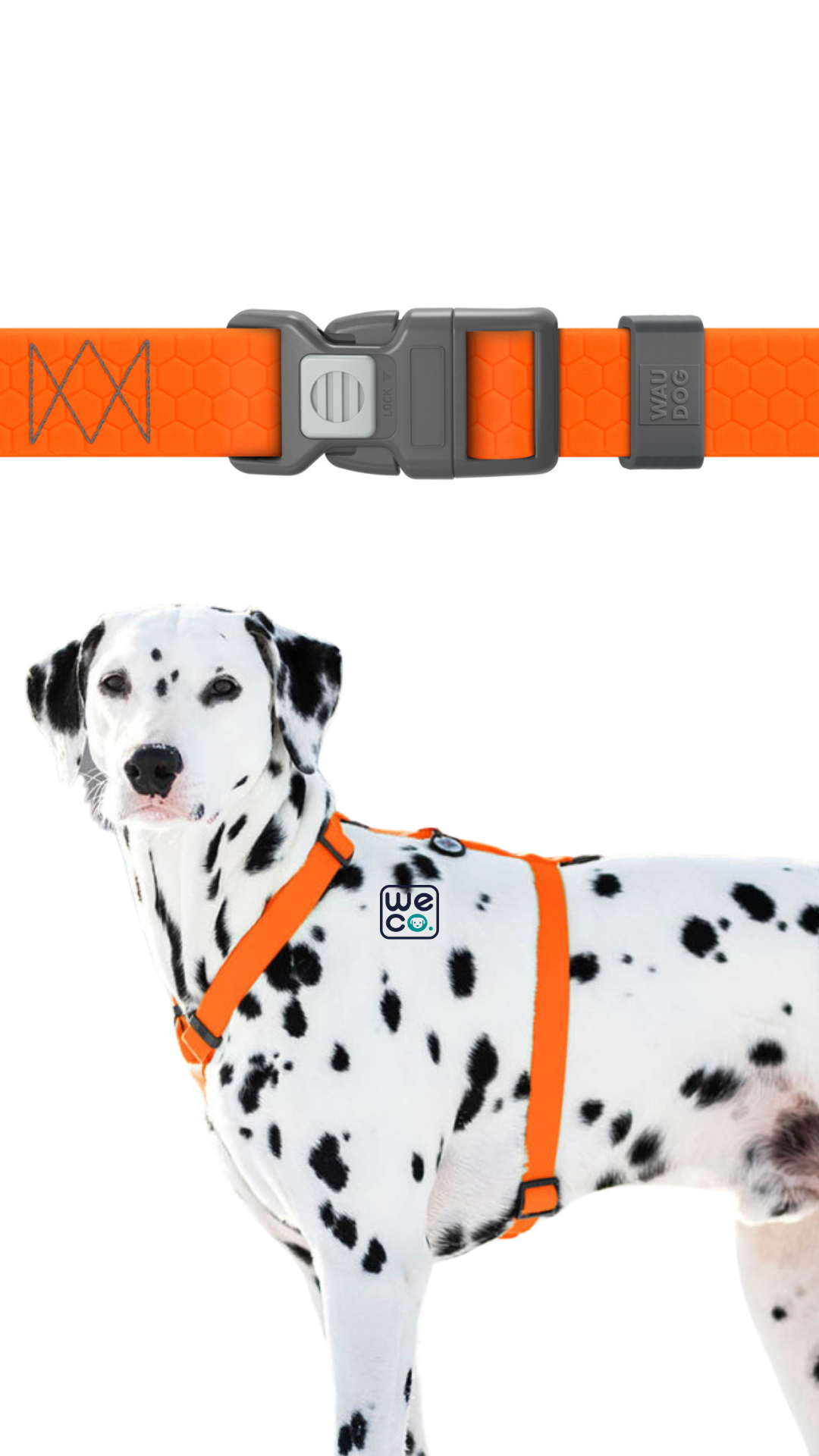 ست هارنس H و ليش Waudog مدل WaterProof