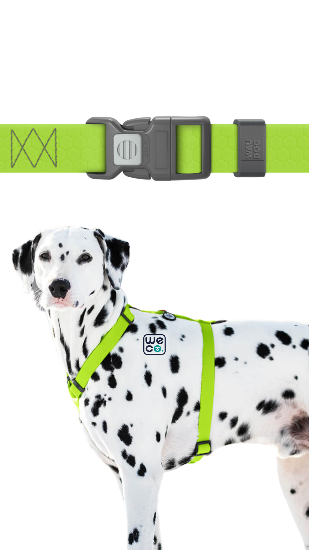 ست هارنس H و ليش Waudog مدل WaterProof