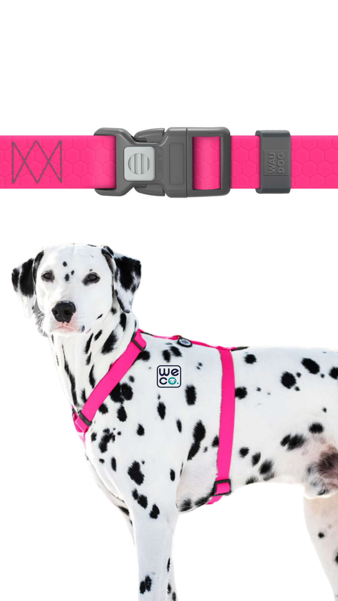 ست هارنس H و ليش Waudog مدل WaterProof