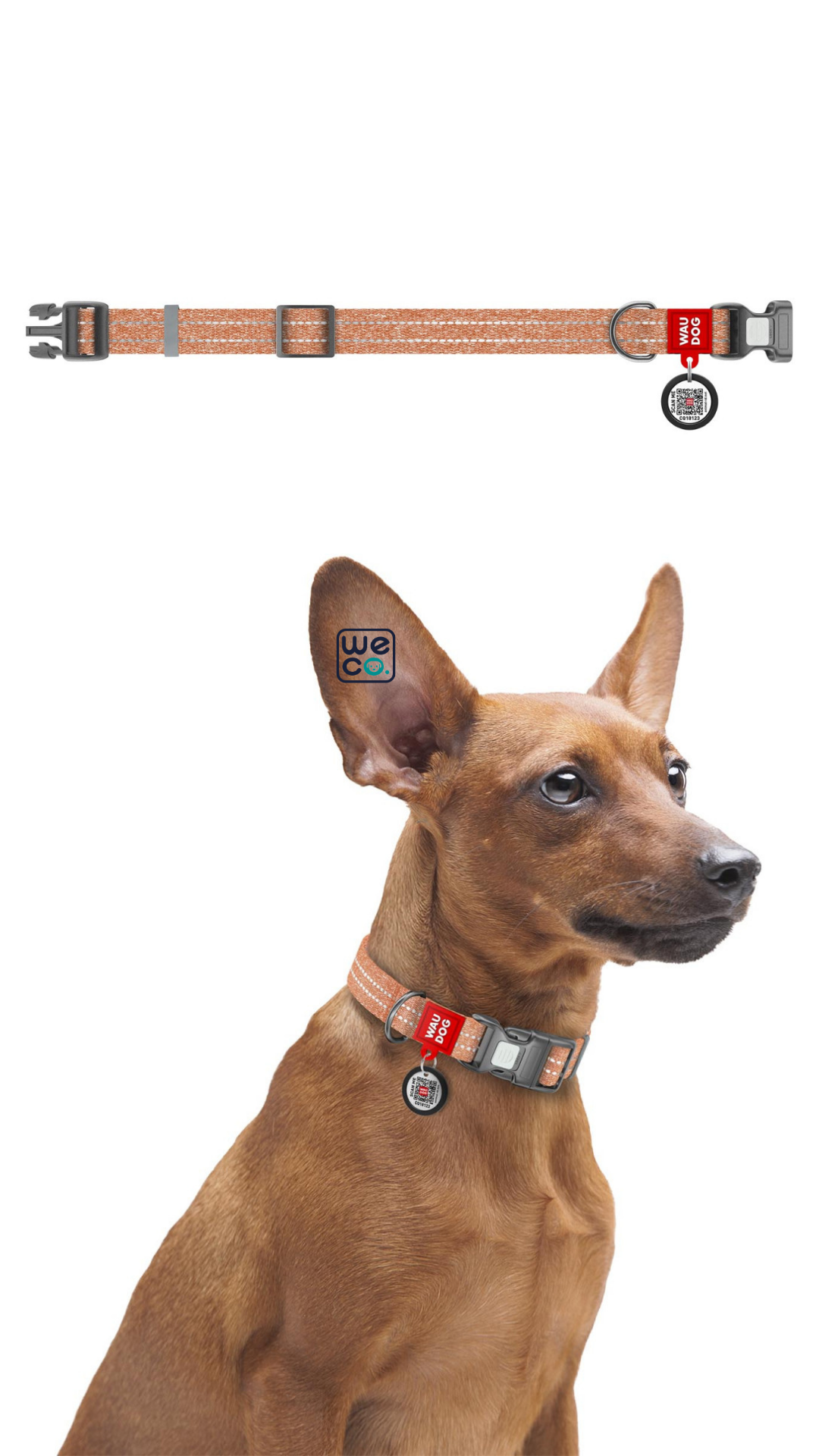 ست قلاده گردني و ليش Waudog مدل Re-Cotton