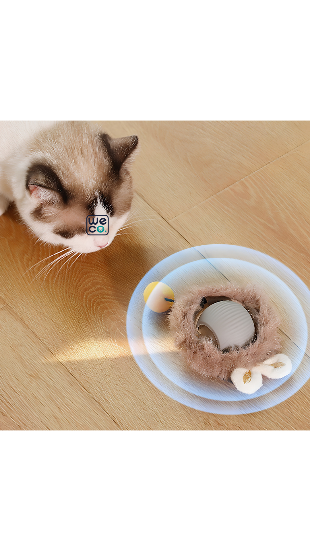 توپ متحرک Funny cat hairball-rope P02
