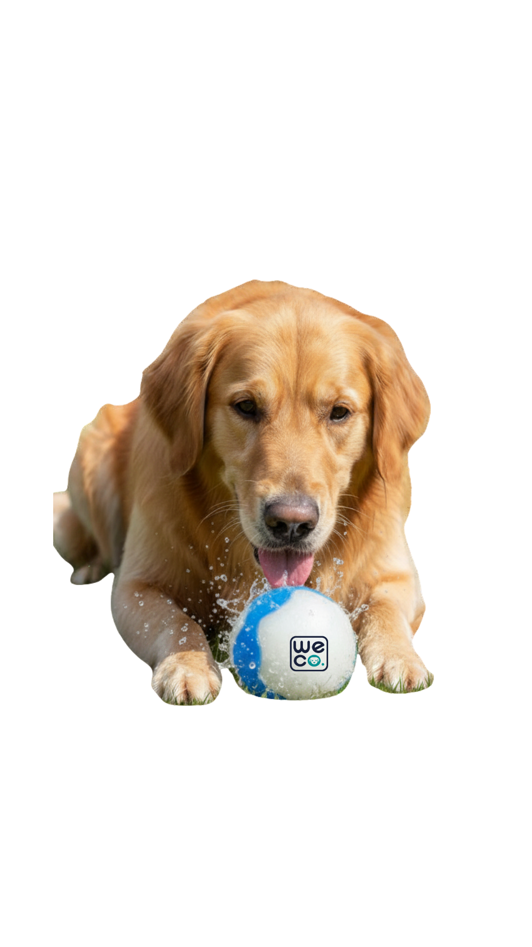 Ice Ball afp size L