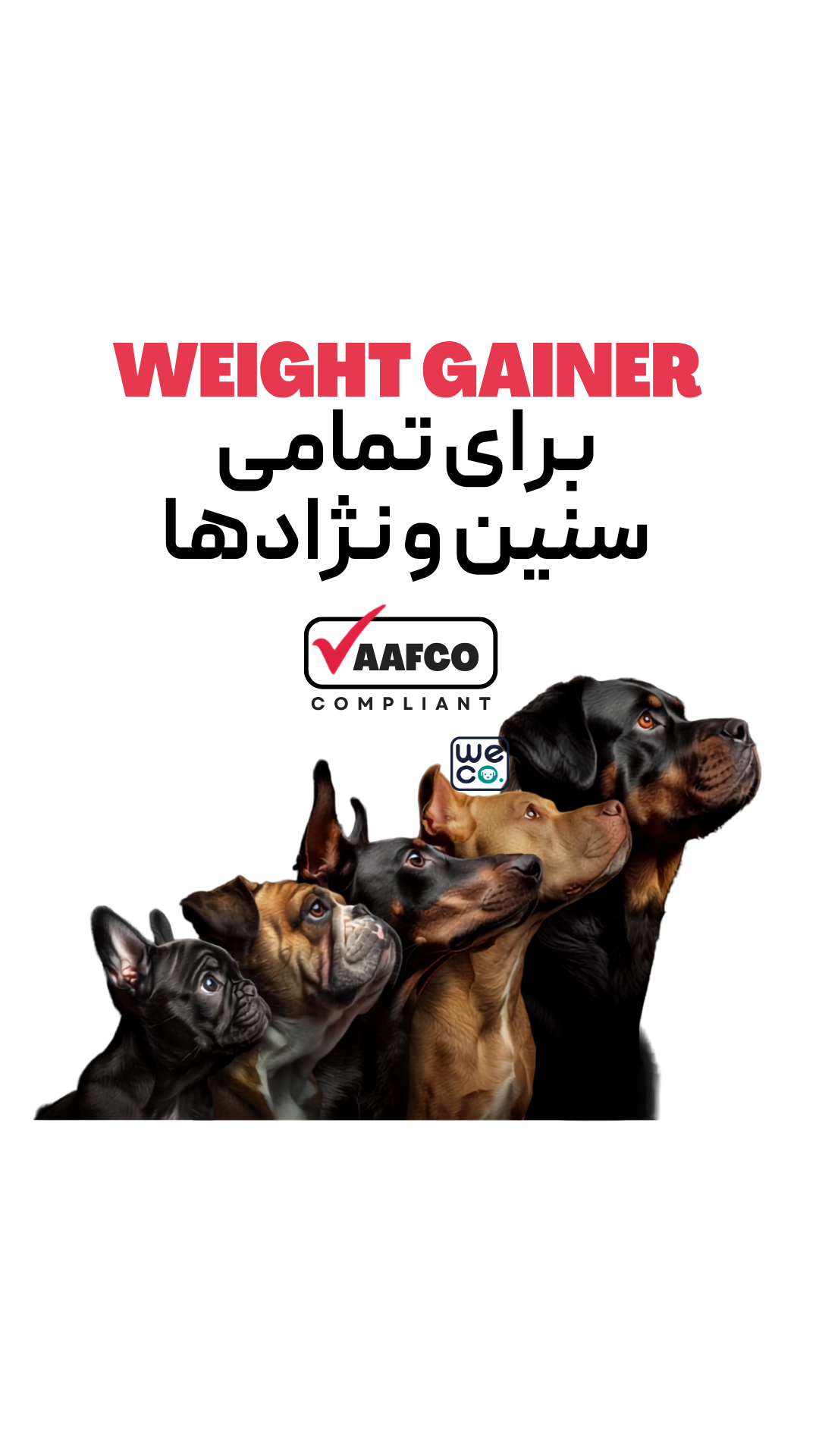 قرص Bully Max مدل Weight Gain (2in1)