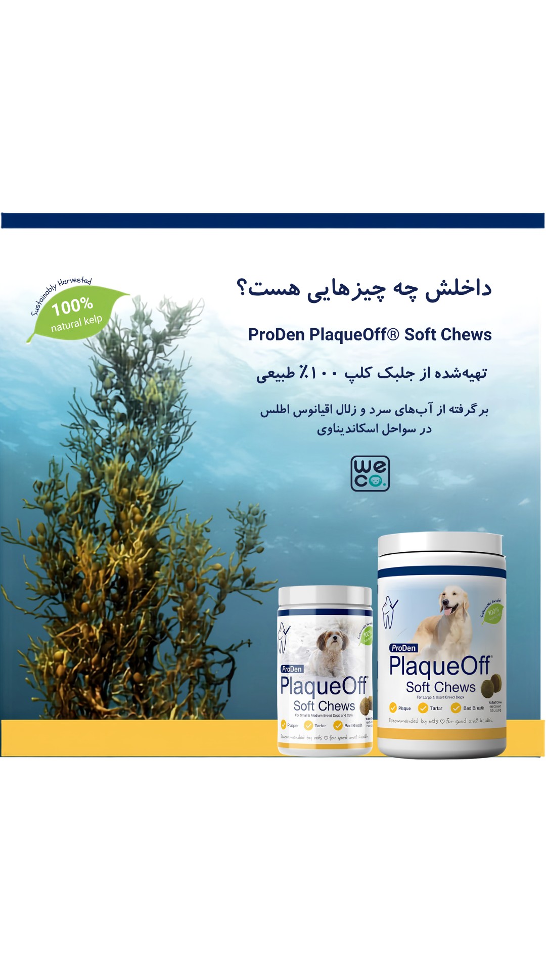 قرص PlaqueOff سگ ۹۰ عددی