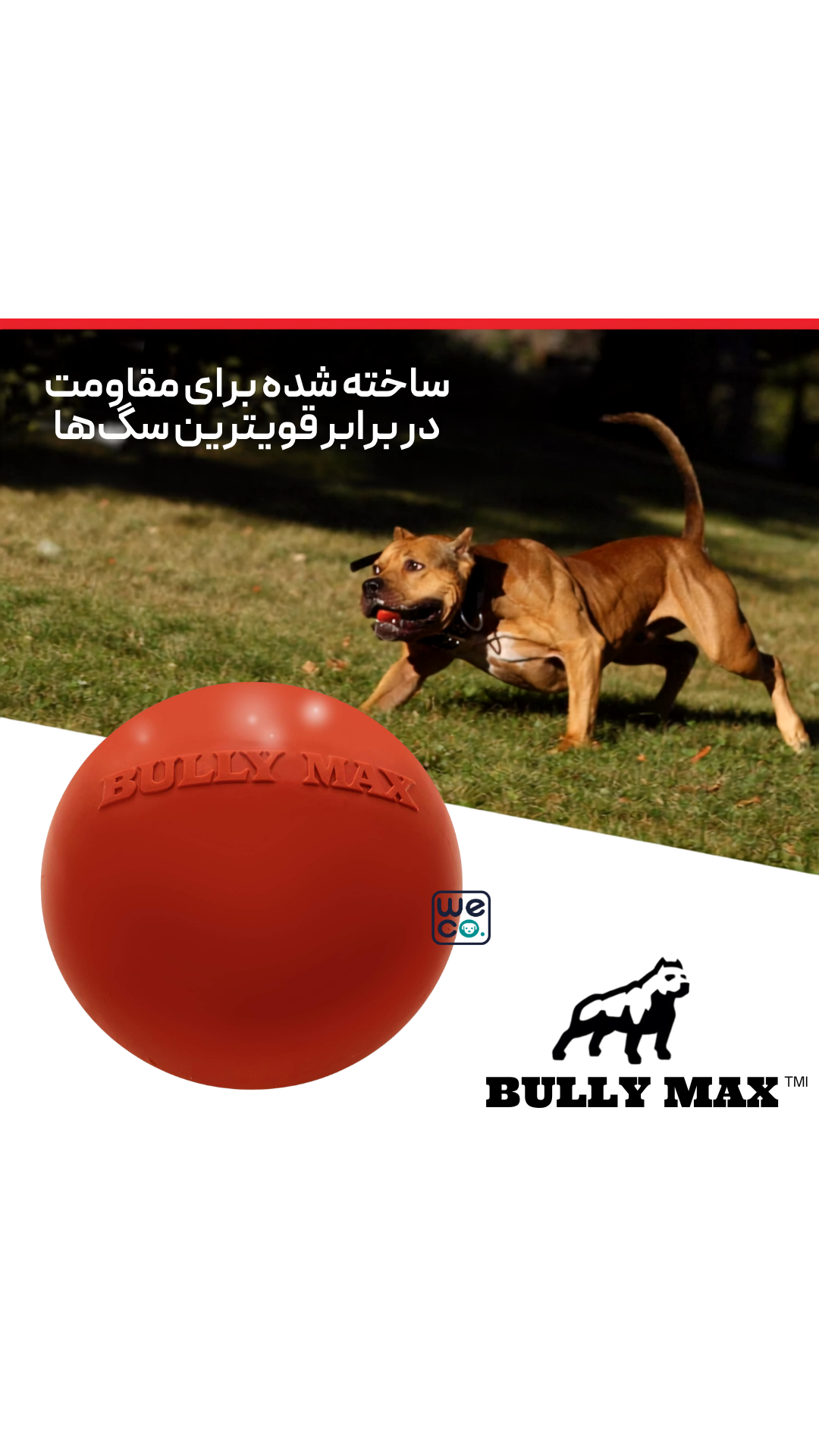 توپ برند Bully Max