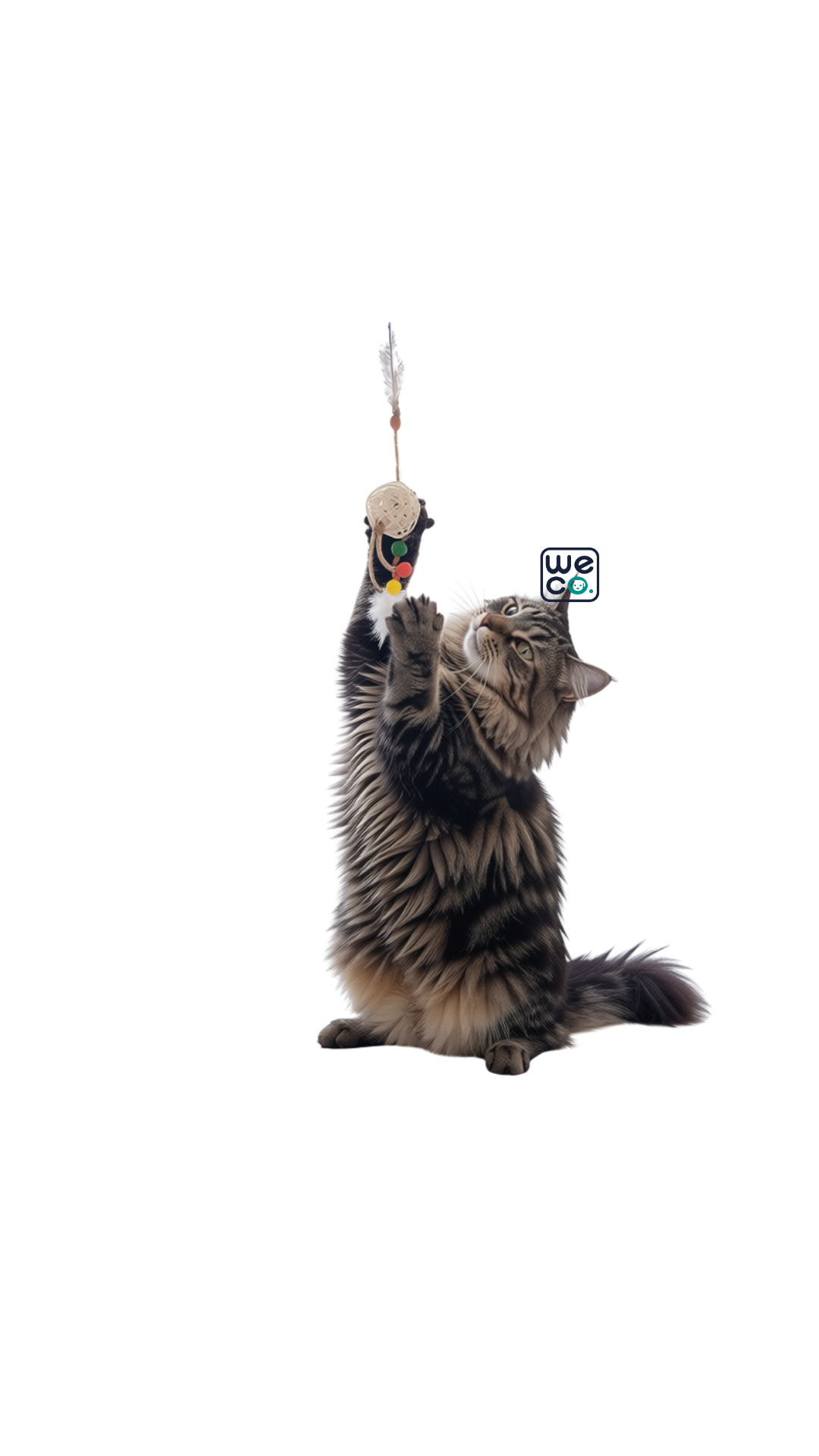 اسباب بازي گربه Catch & Scratch