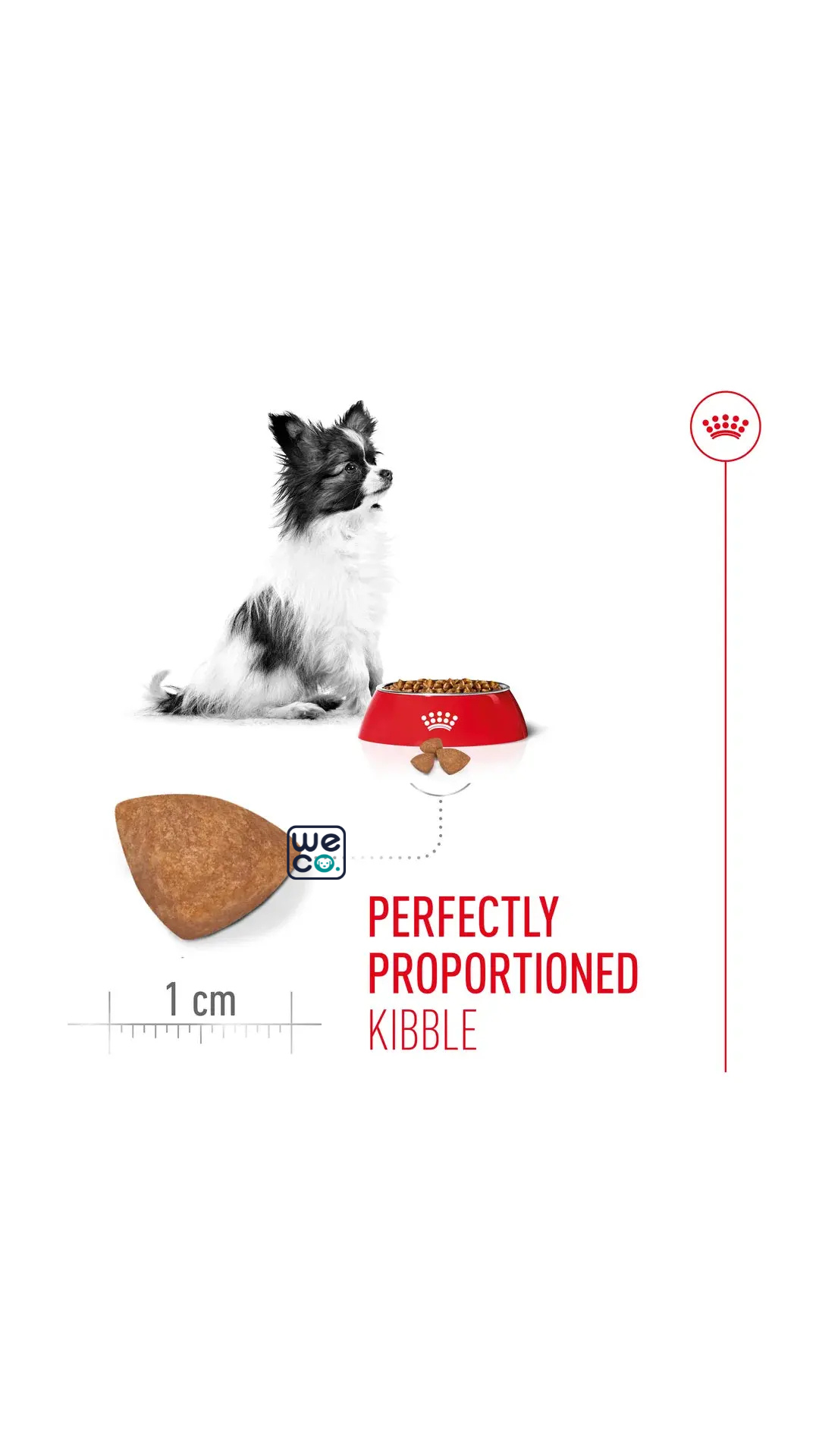 غذاي سگ رويال کنين Xsmall Puppy royal canine