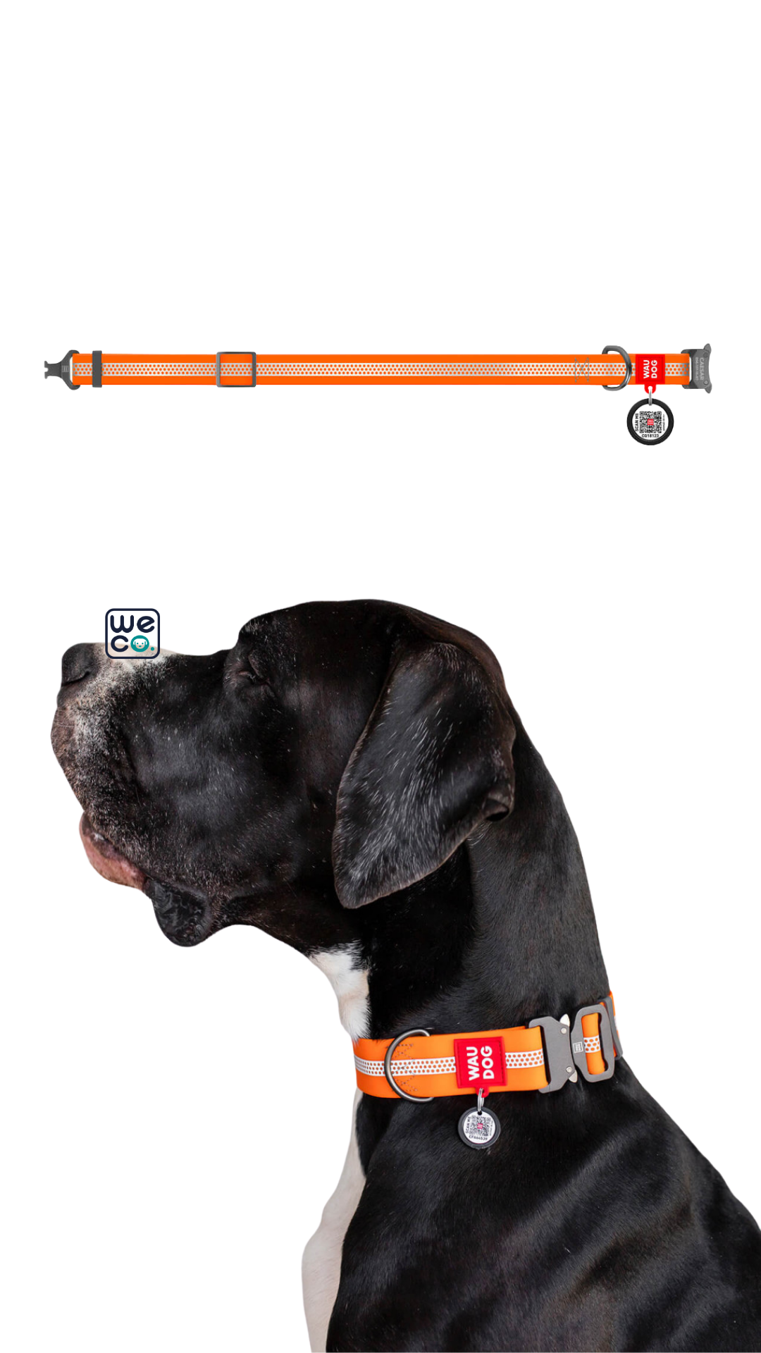 ست قلاده گردني و ليش Waudog مدل WaterProof (metal)
