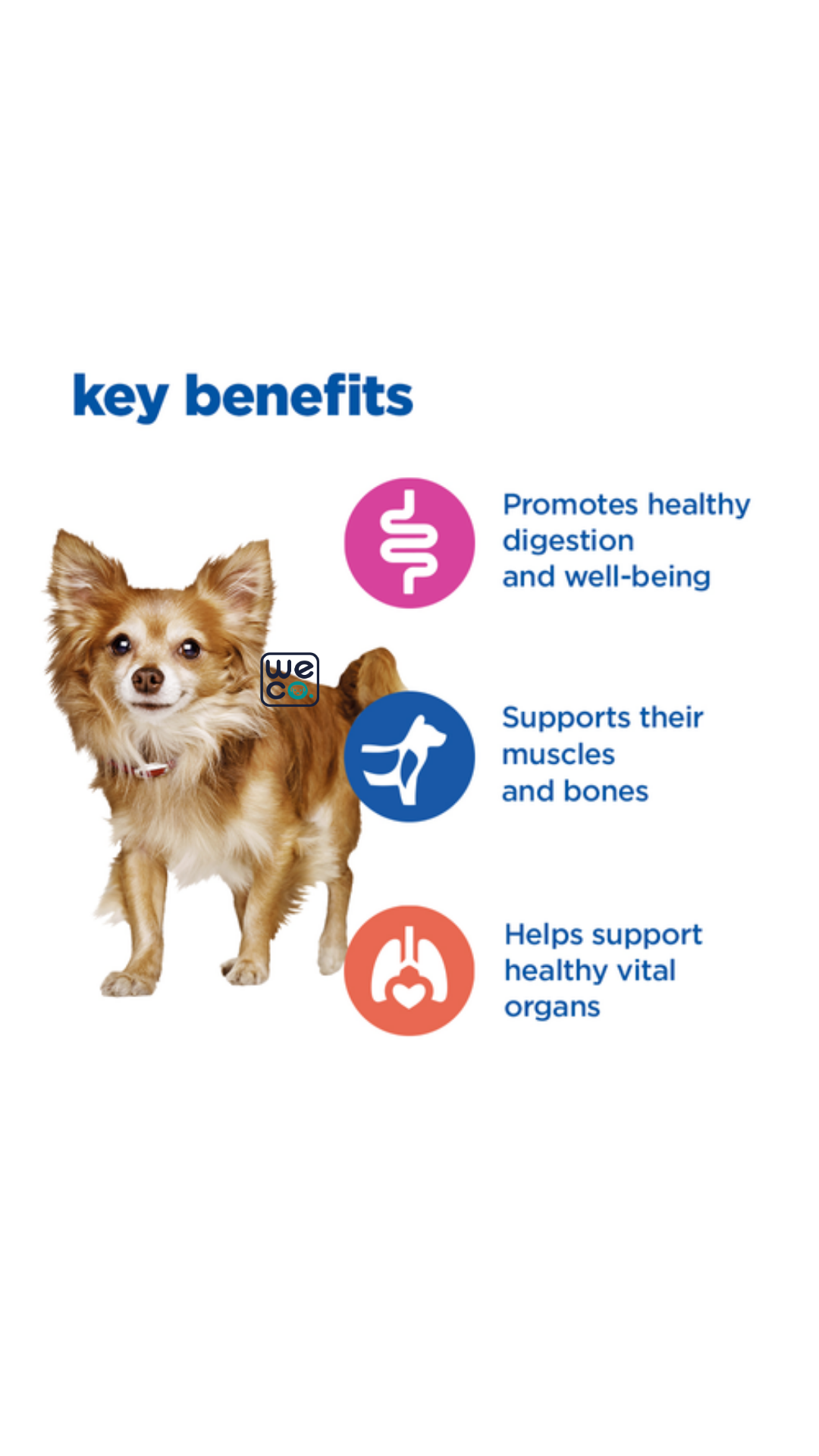 غذاي خشک Hills سگ Small & Mini Multi Benefit
