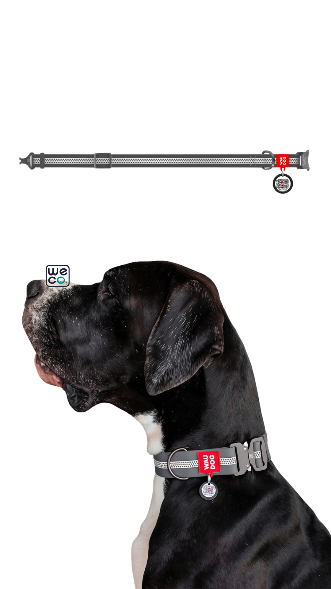 ست قلاده گردني و ليش Waudog مدل WaterProof (metal)