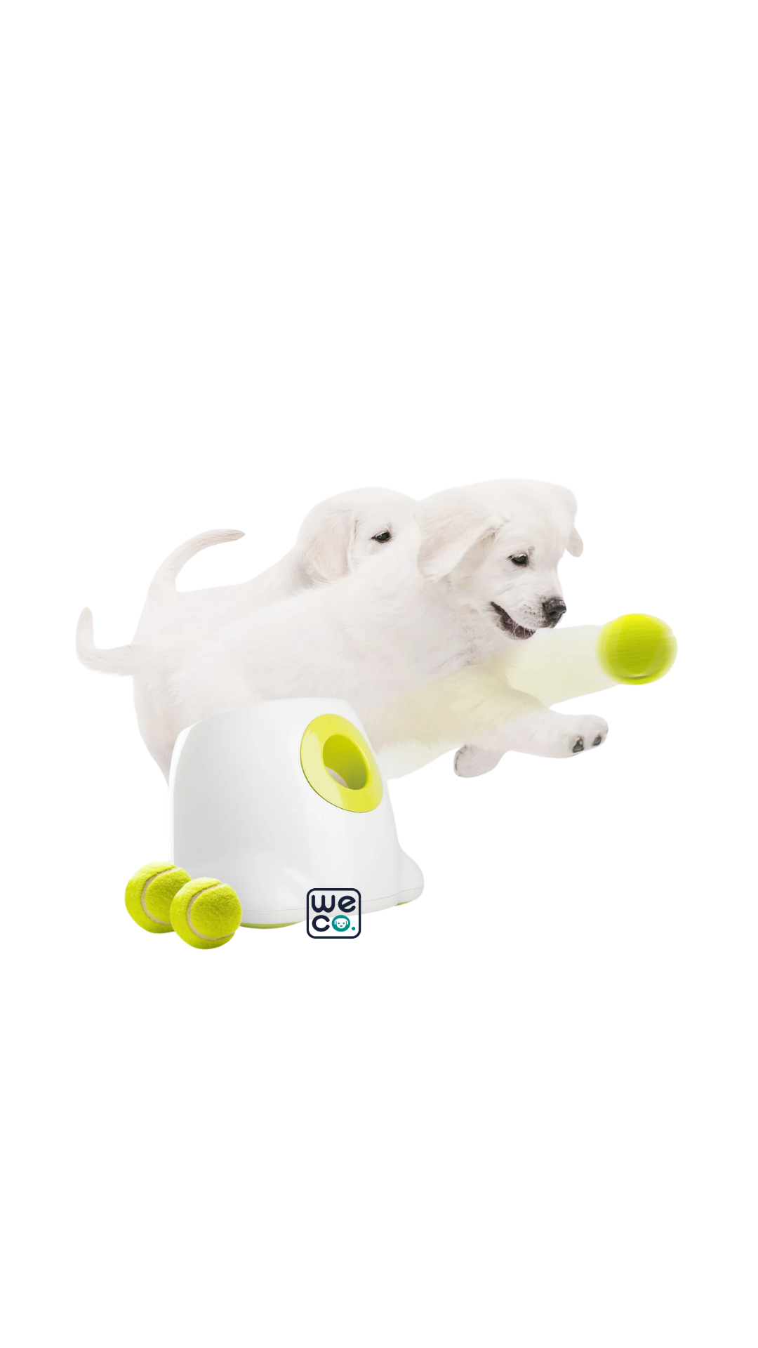 Hyper Fetch Mini afp