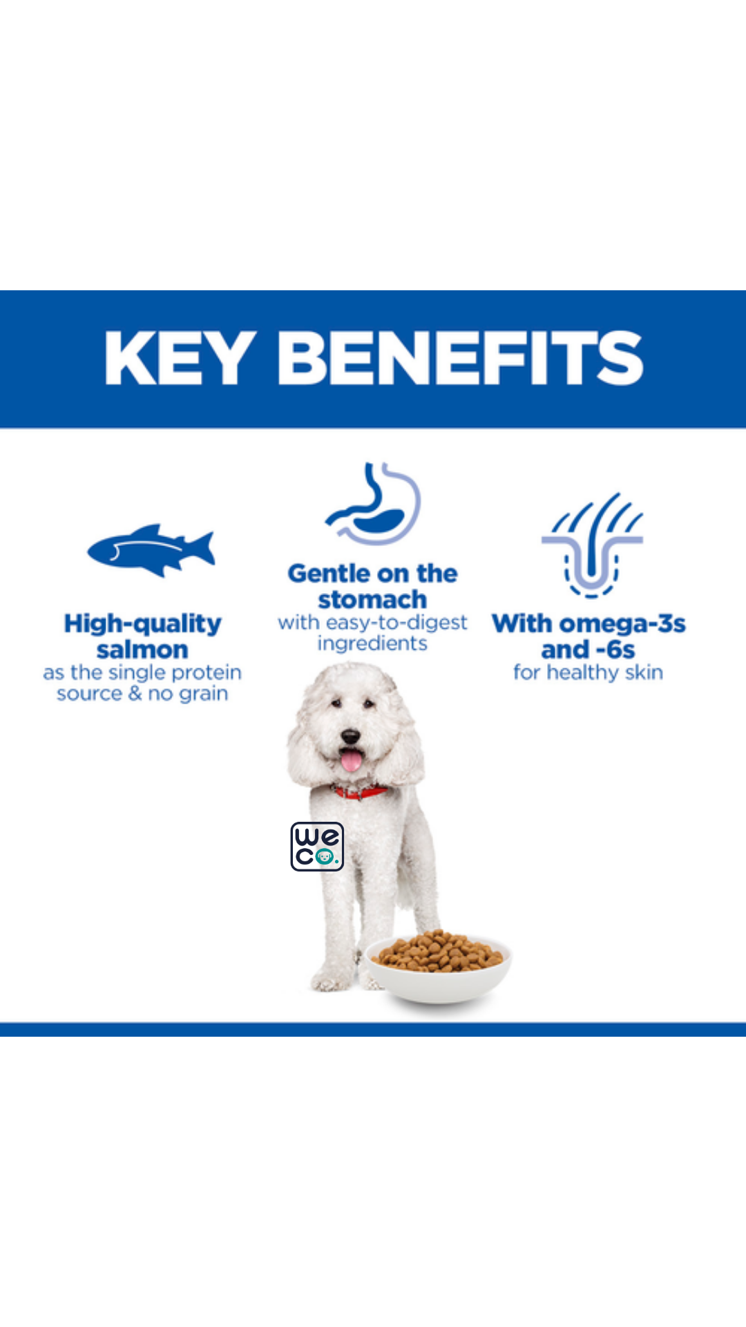 غذاي خشک هیلز سگ Hill's Medium Hypoallergenic Salmon