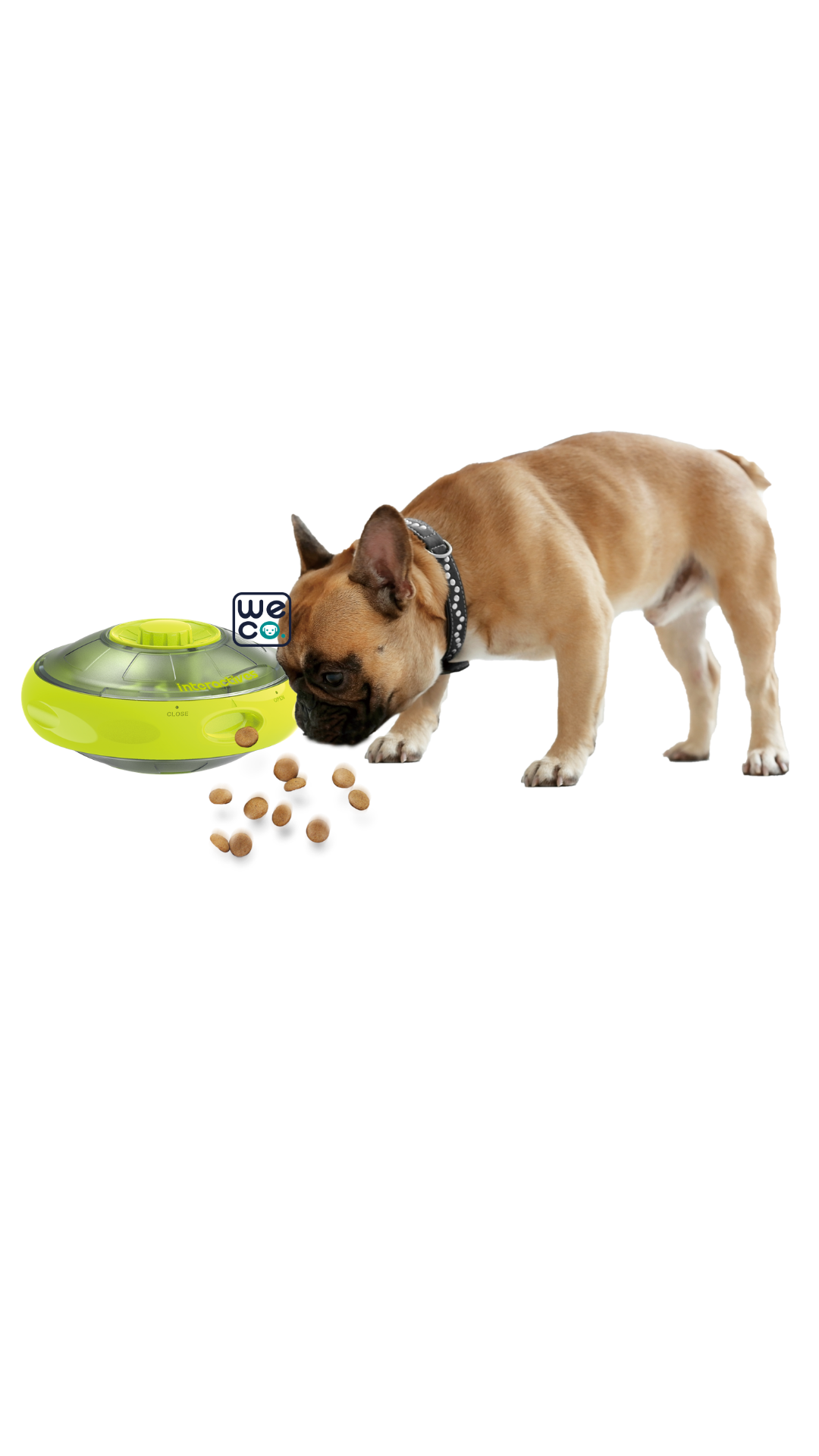 UFO Treat Dispenser afp