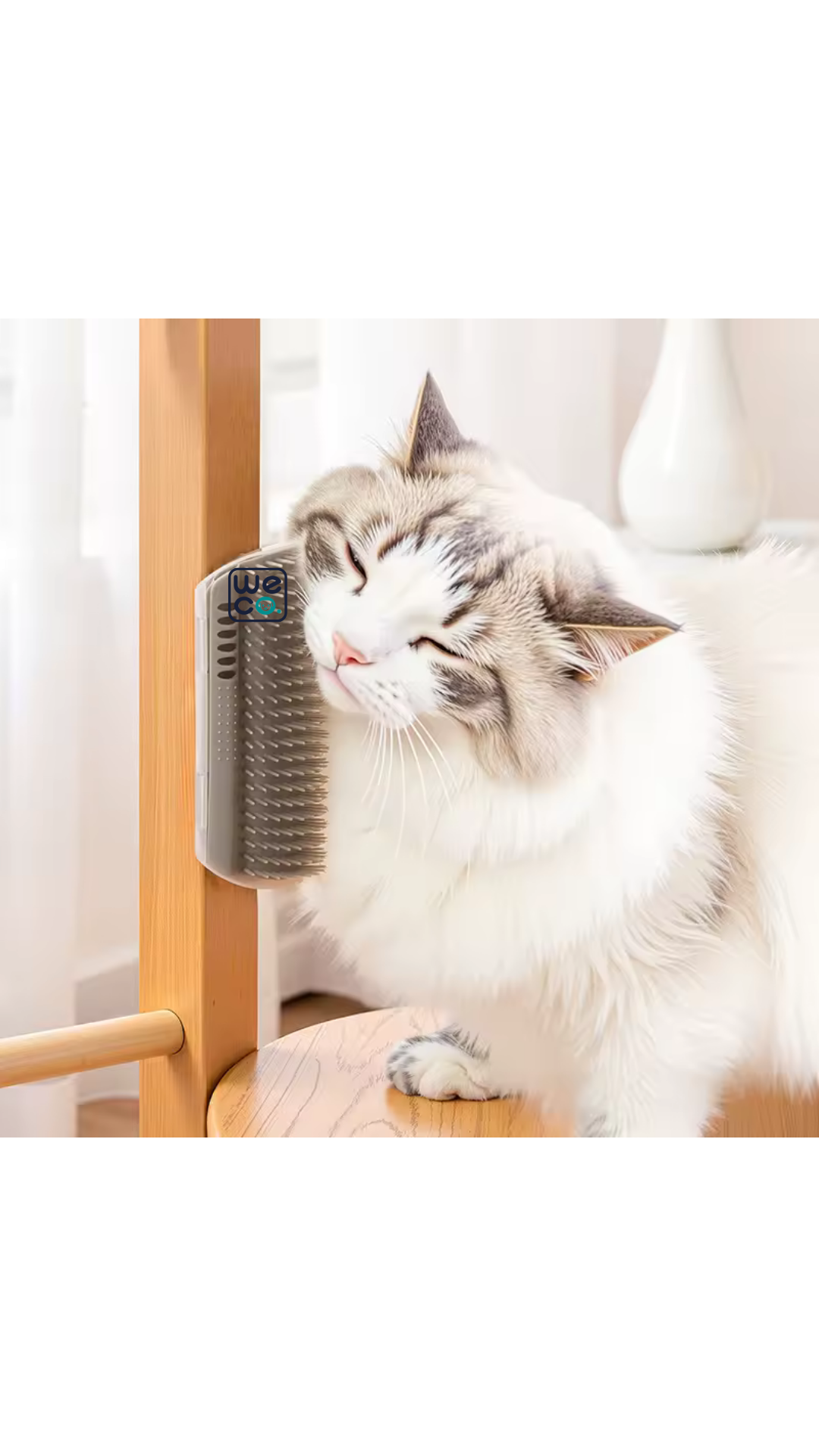 برس و ماساژور ديواري بزرگ کد B056