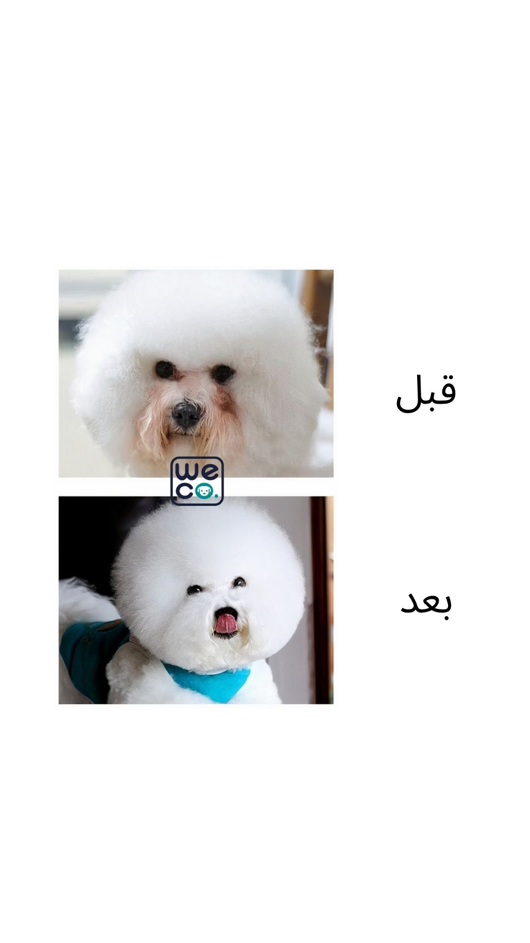 قطره پاک‌کننده لکه اشک بایولاین Bioline