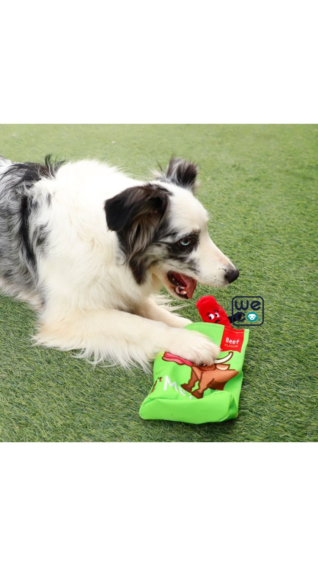 Gigwi Snack Bag
