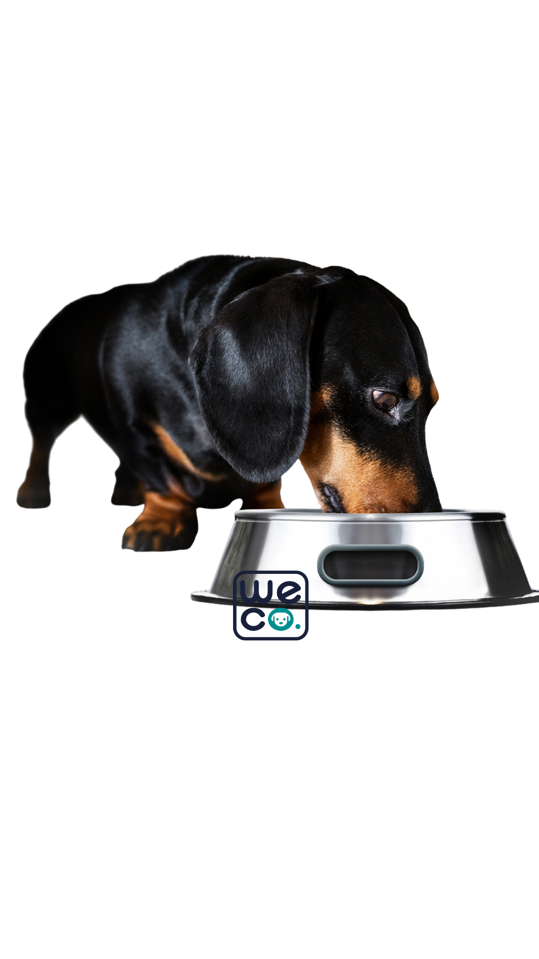 ظرف آب و غذا Shawn مدل Drip Stop