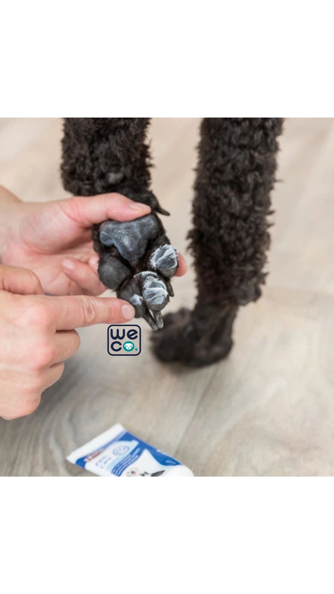 بالم پنجه Trixie