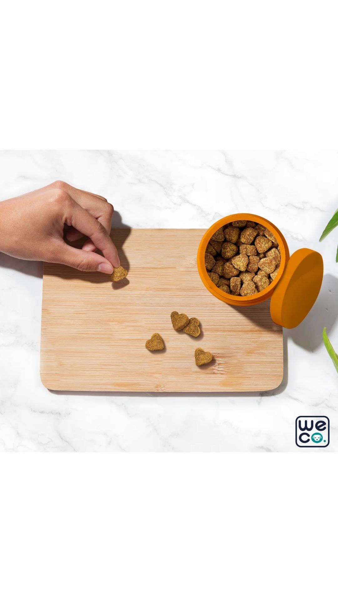 مولتی ويتامين 8in1 برند Zesty paw's