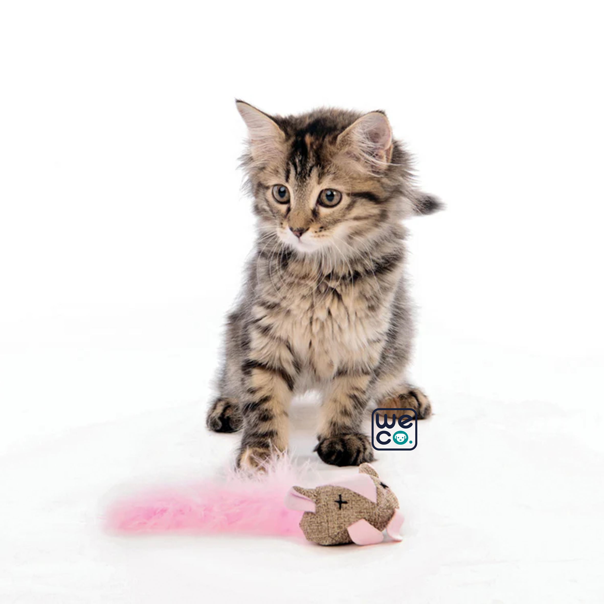 اسباب‌بازي موش بلک‌لايت M-Pets